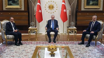 أزمات المنطقة وزيادة الاستثمارات.. تفاصيل لقاء وزير الخارجية بالرئيس التركي