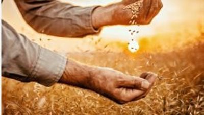 «فتح مركز لوجستي في مصر».. خطوة استراتيجية لتوريد المنتجات الزراعية الأوكرانية إلى المنطقة