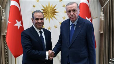 وزير الخارجية ينقل رسالة خطية من الرئيس السيسي إلى أردوغان