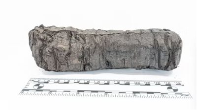 لأول مرة .. فك غموض المخطوطة الرومانية باستخدام الذكاء الاصطناعي 