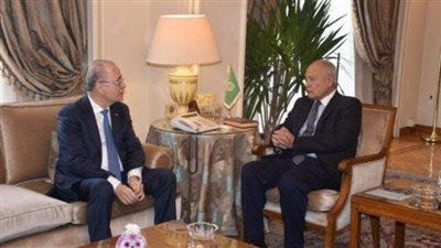 أبو الغيط: إجماع عربي على رفض المساس بثوابت القضية