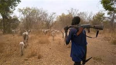 هجوم مسلح علي الاراضي الزراعية بالسودان