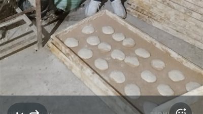 غلق 6 مخابز ومركز تجميع ألبان لوجود خطر على صحة  المواطنين بديرب نجم 