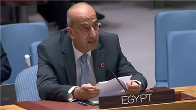 مندوب مصر بالأمم المتحدة: قادرون على حماية أمننا القومي بجيش قوي
