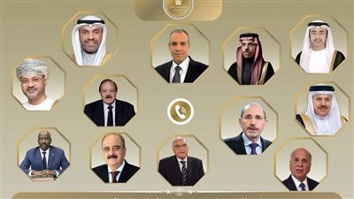 بتوجيهات من الرئيس السيسي.. اتصالات مكثفة لوزير الخارجية مع عدد من نظرائه العرب