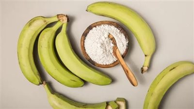 دراسة جديدة تكشف كيف تؤثر بكتيريا الأمعاء على الإستفادة من الألياف