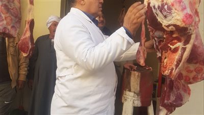 تحصين 17848 رأس ماشية ضد مرضي الحمى القلاعية والوادي المتصدع بالفيوم