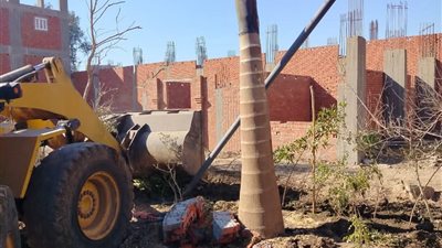 إزالة لحالات التعد على الأراضي الزراعية بشبين الكوم والشهداء 