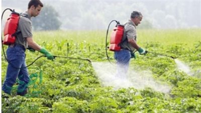 إزالة المزارع السمكية المخالفة وتنظيم ندوات توعوية للمزارعين في بورسعيد