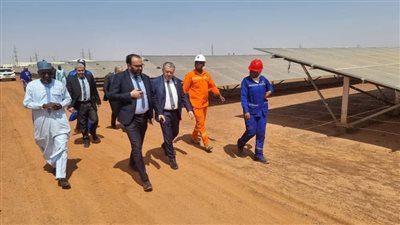 سونلغاز الجزائرية ترسل وفدا إلى النيجر لتعزيز التعاون في قطاع الكهرباء