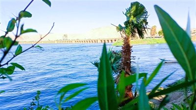  هل عاد مشروع منتجع جزيرة الدوم السياحى إلى حيز التنفيذ؟ 