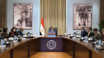 مدبولى يُتابع مع وزيري الكهرباء والبترول جهود توفير احتياجات الطاقة خلال الصيف