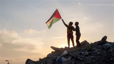 قانونيون: الفكرة تقوض اتفاقية السلام بين القاهرة وتل أبيب