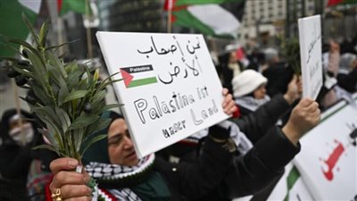 90 منظمة أمريكية ودولية تدين تصريحات ترامب بتهجير الفلسطينيين من غزة