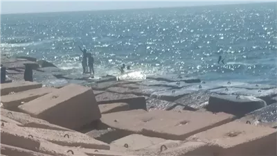 لا تنخدعوا بسطوع الشمس.. انخفاض شديد بدرجات الحرارة في الإسكندرية 