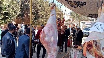 ضبط 300 إسطوانة بوتاجاز قبل بيعها في السوق السوداء بالمنيا 