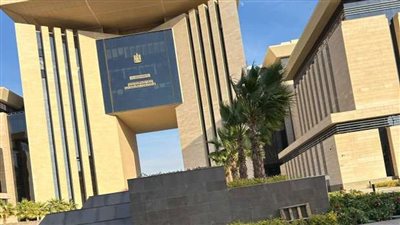 مصر وقطر يجهزان مساعدات إنسانية تمهيدًا لدخولها قطاع غزة (فيديو)