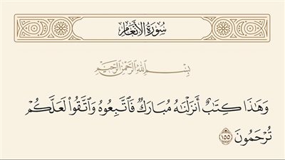 فى رحاب آية