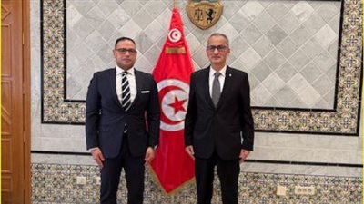 سفير مصر بتونس: نؤكد على رفض فكرة تهجير الفلسطينيين أو تصفية القضية 