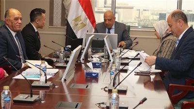 وزير الكهرباء يبحث مع مسئولي شركة 