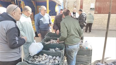  الدقهلية: أسعار مخفضة بأسواق اليوم الواحد