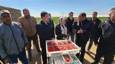 بالصور..وفد الجمارك الصينية يزور محطات التصدير بالبحيرة ويشيد بجودة الصادرات الزراعية المصرية