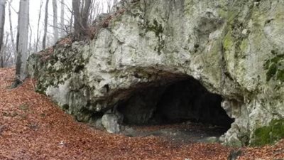 دراسة صادمة: سكان أوروبا اعتادوا أكل لحوم أعدائهم 