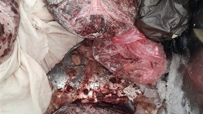  ضبط 2 طن لحوم مخالفة للاشتراطات بالدقهلية