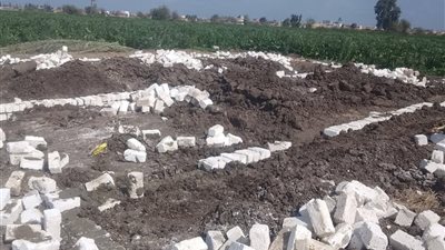 إزالة التعديات على أملاك الدولة والأراضي الزراعية فى البحيرة