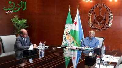 محمود علي يوسف: نجاح دبلوماسي يعكس الرؤية الحكيمة للرئيس إسماعيل عمر جيله