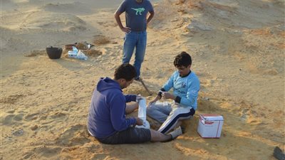 اكتشاف عالمي جديد لمركز الحفريات الفقارية بجامعة المنصورة