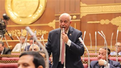 النائب حازم الجندي يطالب بتعزيز الشراكة بين القطاعين الحكومي والخاص 