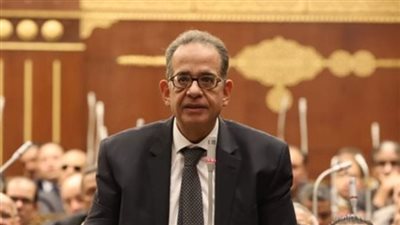 برلمانية الوفد بالشيوخ تحذر من اغتيال المشروعات الصغيرة في القرى 