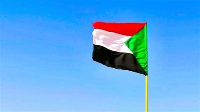 حركة جيش تحرير السودان: تصف تجنيد المليشيا للاجئين الجنوبيين بمحلية اللعيت بجريمة حرب