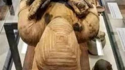 مصطفى وزيري يكشف سر المومياء المجهولة بعد 102 عام من اكتشافها (فيديو)