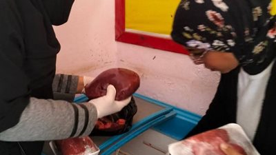 ضبط 375 كيلو لحوم ودجاج غير مطابق للمواصفات بالدقهلية