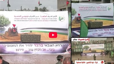 باحثة عن مشاهد تسليم المحتجزين: المقاومة الفلسطينية توجّه رسالة حاسمة للاحتلال