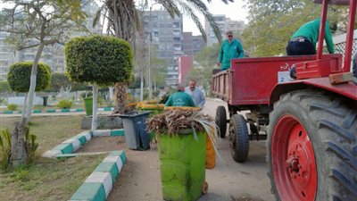 الدقهلية: رفع 610 طن مخلفات بلدية 