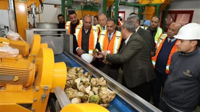 اليوم بداية موسم توريد محصول البنجر بشركة الشرقية لصناعة السكر بالصالحية الجديدة