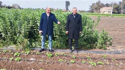 وكيل زراعة الغربية يتفقد سيرالعمل بادارات مراكز المحافظة