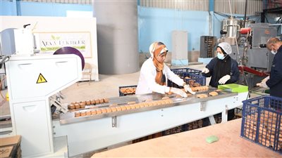 إنهاء أعمال ترفيق المناطق الصناعية بالتزامن مع عيد قنا القومي 