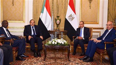 مصر والسودان يؤكدان ضرورة التوصل لاتفاق شامل وعادل وملزم قانوناً حول ملء وتشغيل السد الإثيوبي 