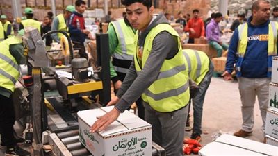 تجهيز 10000 كرتونة رمضانية  لتوزيعها على الأكثر احتياجًا بالمنيا