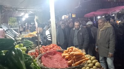 محافظ الدقهلية في جولة مفاجئة بمدينة الجمالية