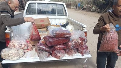 ضبط 500 كيلو لحوم ودواجن غير صالحة للاستهلاك بالفيوم 