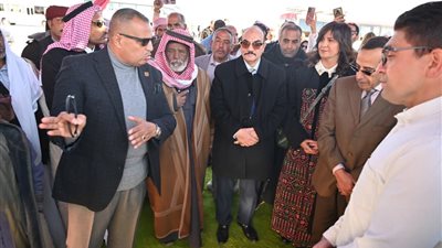 محافظ جنوب سيناء يتفقد مشروع إنشاء 60 منزلا بدويا بقرية النقب
