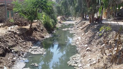 بسبب تلوث الترع.. الموت البطئ ينتظر مواطنى الدقهلية