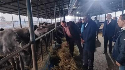 وزيرا الثروة الحيوانية والري في زامبيا يتفقدان مزرعة الإنتاج الحيواني ومركز التلقيح الاصطناعي بالبحيرة والإسكندرية