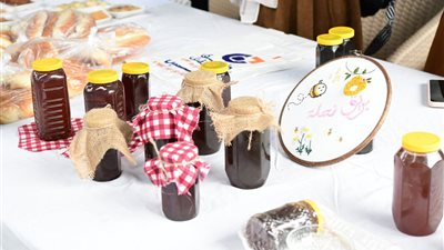 جمعية حجازة النسائية: 70 % مشاركة الفتيات بمشروع طريق المستقبل 