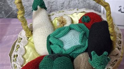 تعليم الفيوم الأول على الجمهورية فى مسابقة الدمج للمرحلة الابتدائية